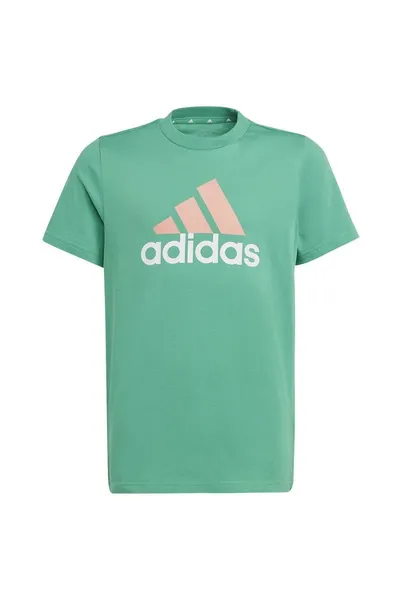 Dětské zelené tričko Big Logo 2 Tee Adidas