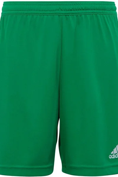 Dětské zelené fotbalové šortky Entrada 22 Adidas
