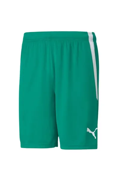 Pánské zelené sportovní šortky Puma teamLiga