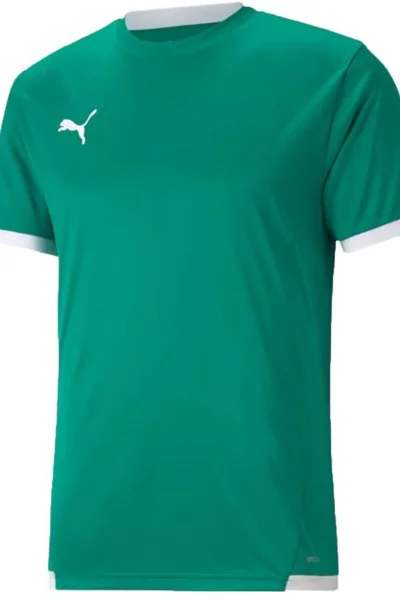 Pánský zelený dres Puma teamLiga Jersey