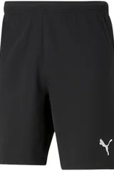 Pánské kraťasy teamRISE Short Puma