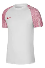 Pánské Funkční Tričko Dri-Fit Academy SS M - Nike