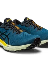 Pánské běžecké boty Asics TR