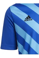 Dětské tričko Entrada 22 Graphic Jersey Junior Adidas