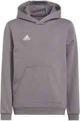 Dětská šedá mikina s kapucí Entrada 22 Hoody Adidas