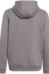 Dětská šedá mikina s kapucí Entrada 22 Hoody Adidas