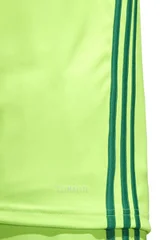 Pánské fotbalové tričko Regista 18 Jersey  Adidas