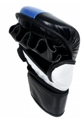 Ultimátní MMA boxerské rukavice Masters