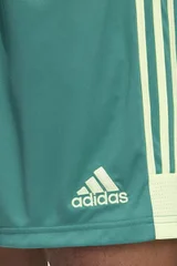 Pánské sportovní zelené kraťasy Tastigo 19 Adidas
