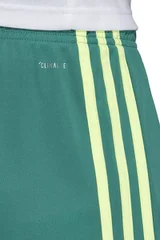Pánské sportovní zelené kraťasy Tastigo 19 Adidas